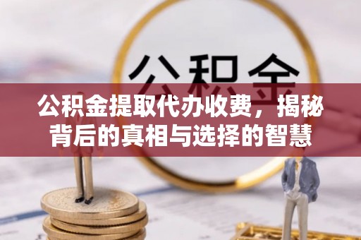赞皇公积金提取代办收费，揭秘背后的真相与选择的智慧