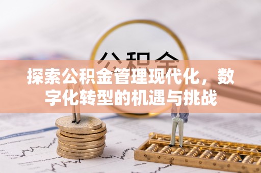 花莲探索公积金管理现代化，数字化转型的机遇与挑战
