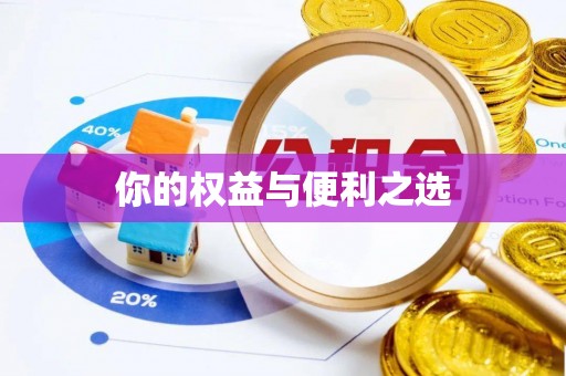麻城你的权益与便利之选