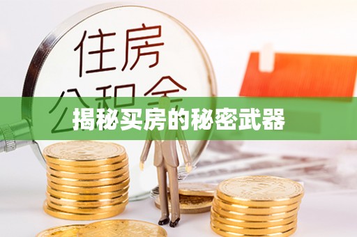 盐埕揭秘买房的秘密武器