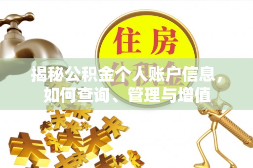 盐埕揭秘公积金个人账户信息，如何查询、管理与增值