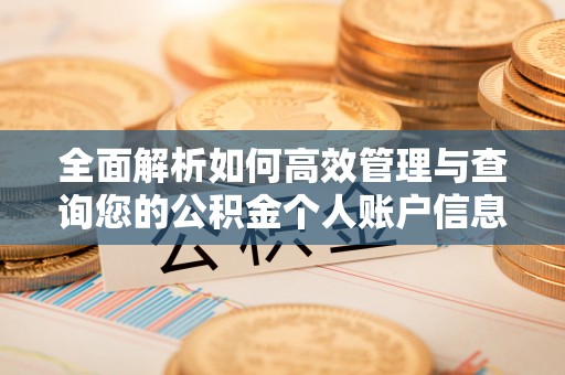 岳池全面解析如何高效管理与查询您的公积金个人账户信息