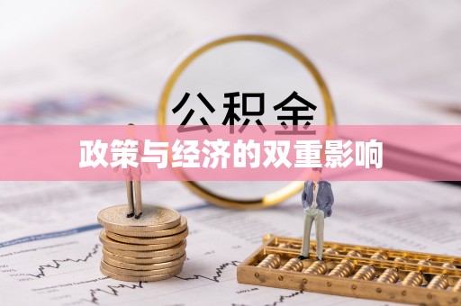善化政策与经济的双重影响