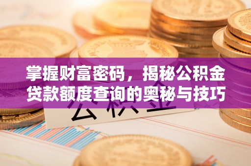 南宫掌握财富密码，揭秘公积金贷款额度查询的奥秘与技巧