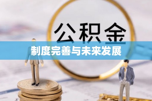 庆云制度完善与未来发展