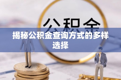 善化揭秘公积金查询方式的多样选择