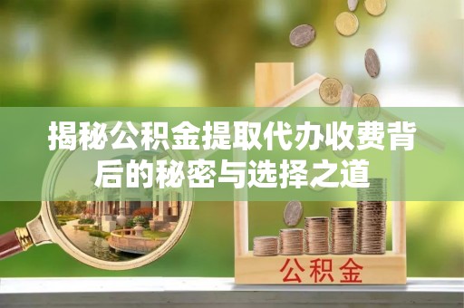 保税港区揭秘公积金提取代办收费背后的秘密与选择之道