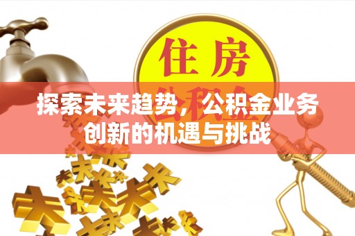 石狮探索未来趋势，公积金业务创新的机遇与挑战