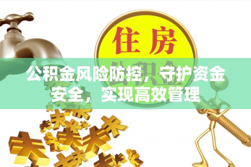 苏澳公积金风险防控，守护资金安全，实现高效管理
