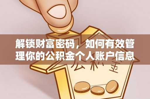 苏澳解锁财富密码，如何有效管理你的公积金个人账户信息