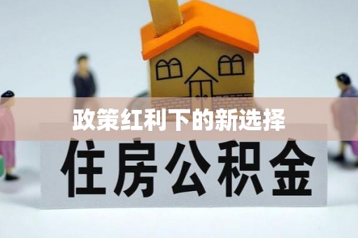 灌云政策红利下的新选择
