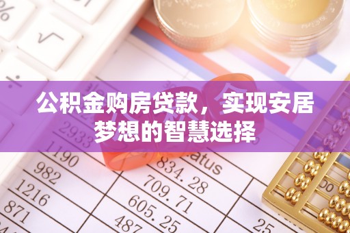 岳阳楼公积金购房贷款，实现安居梦想的智慧选择