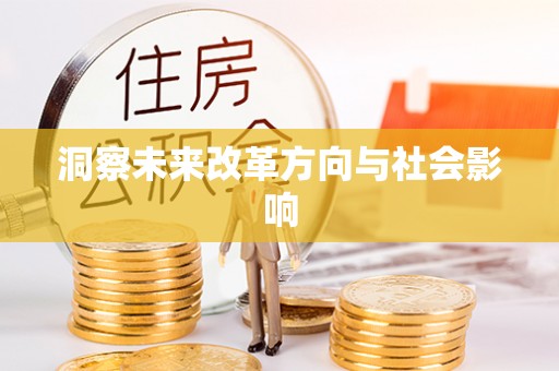 小金洞察未来改革方向与社会影响