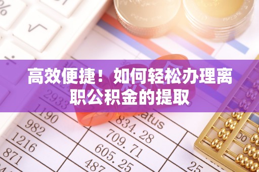 马龙高效便捷！如何轻松办理离职公积金的提取