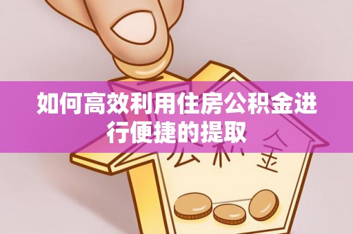 马龙如何高效利用住房公积金进行便捷的提取
