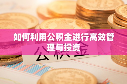 源城如何利用公积金进行高效管理与投资