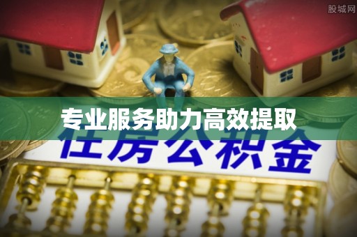 城子河专业服务助力高效提取