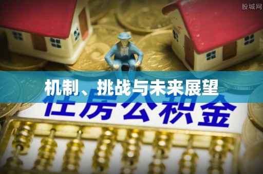 沈河机制、挑战与未来展望