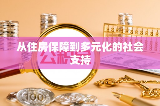 仪陇从住房保障到多元化的社会支持
