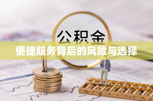 仪陇便捷服务背后的风险与选择