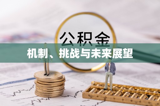 吴川机制、挑战与未来展望