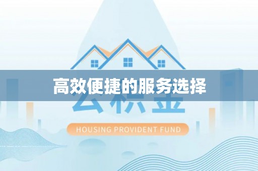 吴川高效便捷的服务选择