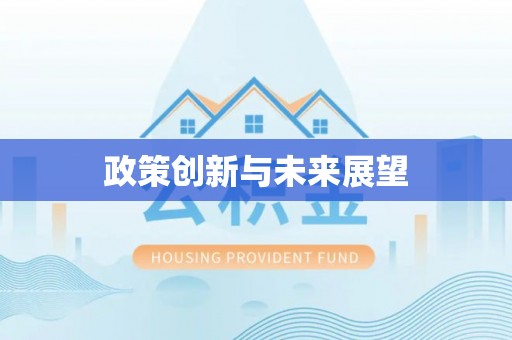 吴川政策创新与未来展望