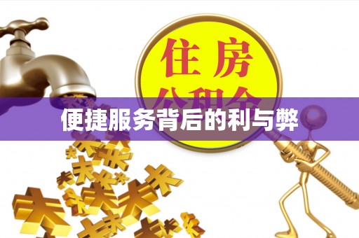漠河便捷服务背后的利与弊