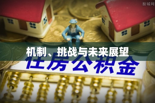 漠河机制、挑战与未来展望